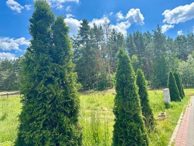 Dom Sprzedaż Stare Grochale Wrzosowa 10