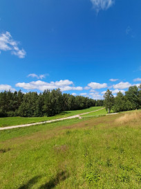 Działka Sprzedaż Czeczewo Zacisze