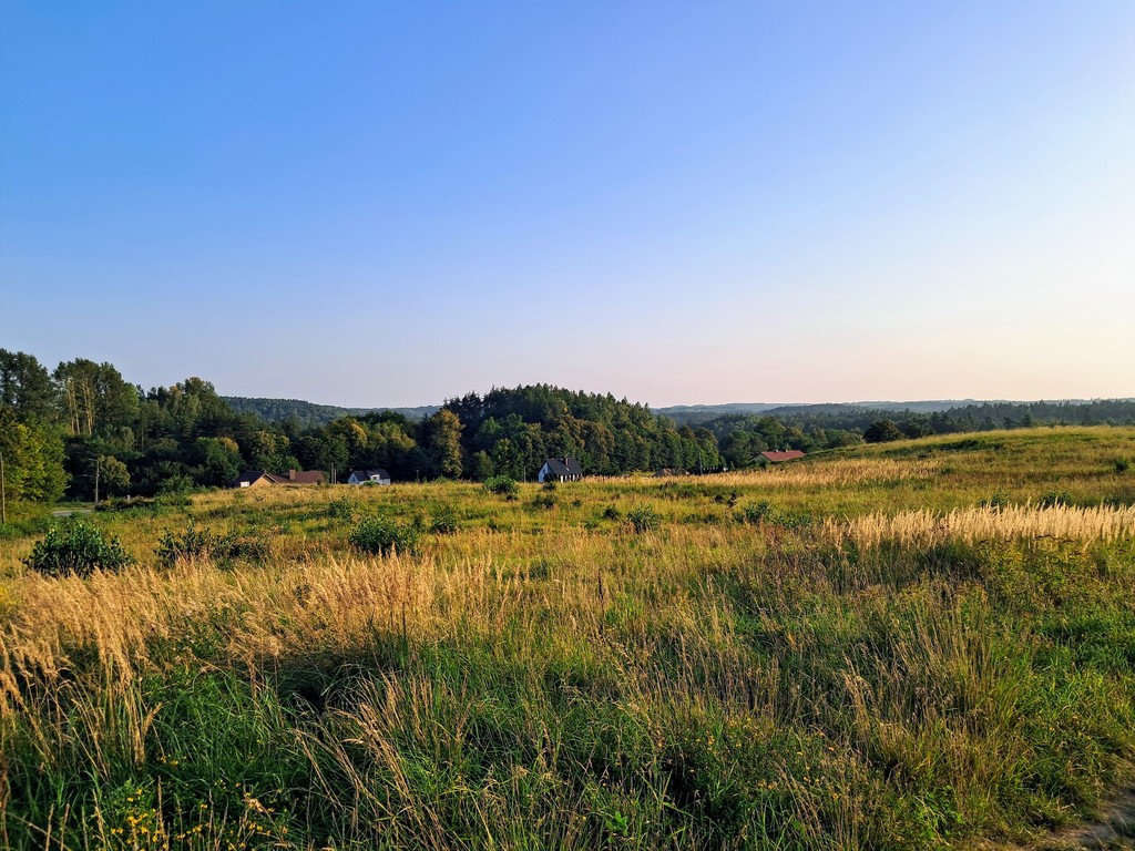 Działka Sprzedaż Maks