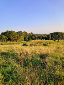 Działka Sprzedaż Maks