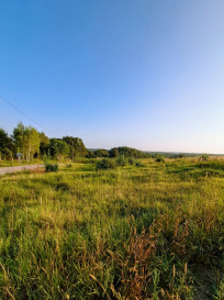 Działka Sprzedaż Maks