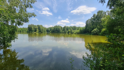 Działka Sprzedaż Łagiewniki Nowe Okólna