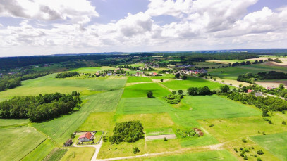 Działka Sprzedaż Borcz Spokojna