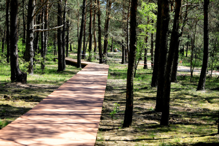 Mieszkanie Sprzedaż Toruń Jar Henryka Strobanda 5