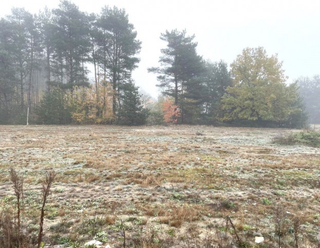 Działka Sprzedaż Nowe Załubice Opolska 1