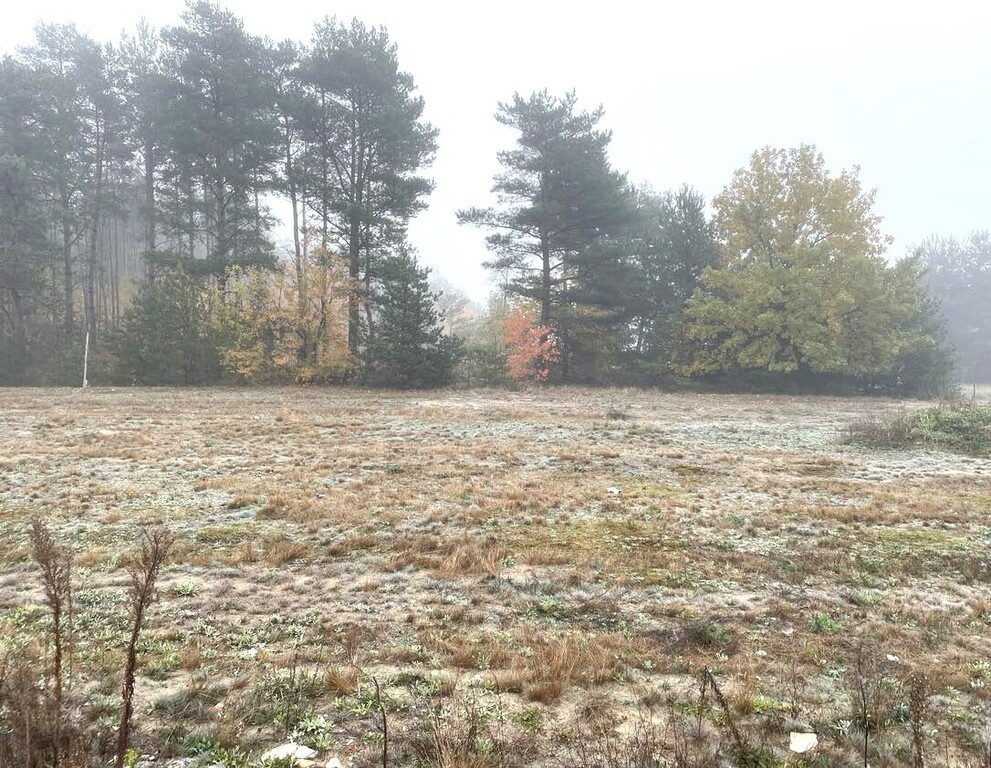 Działka Sprzedaż Nowe Załubice Opolska