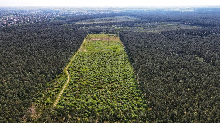 Działka Sprzedaż Krobia 9