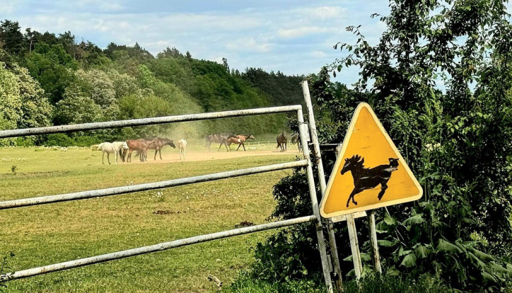 Działka Sprzedaż Zdziarka 4